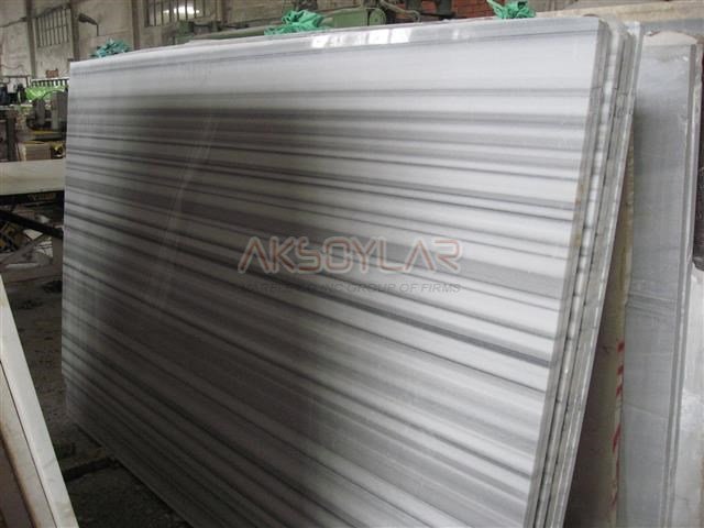 ZEBRA(MARMARA ZEBRA),CİLALI,PLAKA