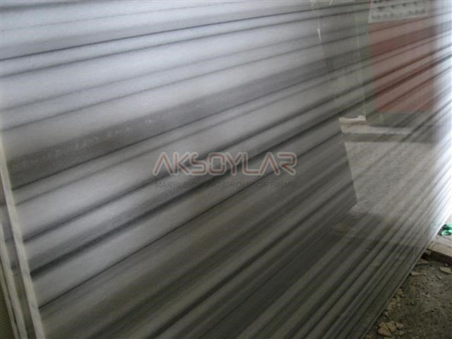 ZEBRA(MARMARA ZEBRA),CİLALI,PLAKA