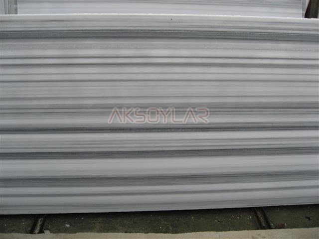 ZEBRA(MARMARA ZEBRA),CİLALI,PLAKA